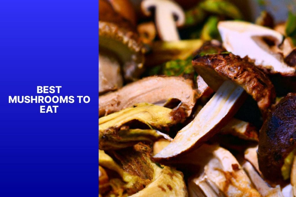 Best mushrooms to eat.