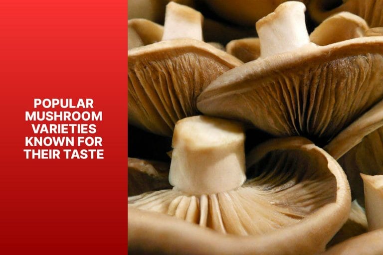 Popular Mushroom Varieties Known for Their Taste - best tasting mushrooms 
