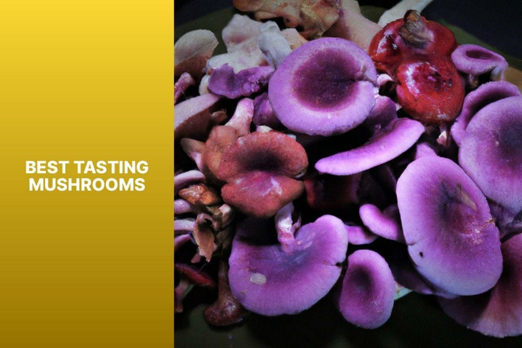The Best Tasting Mushrooms.