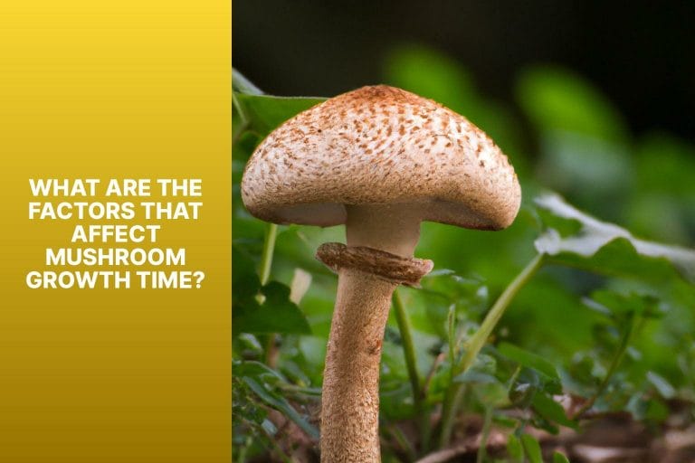 What Are the Factors that Affect Mushroom Growth Time? - how long does it take for a mushroom to grow 