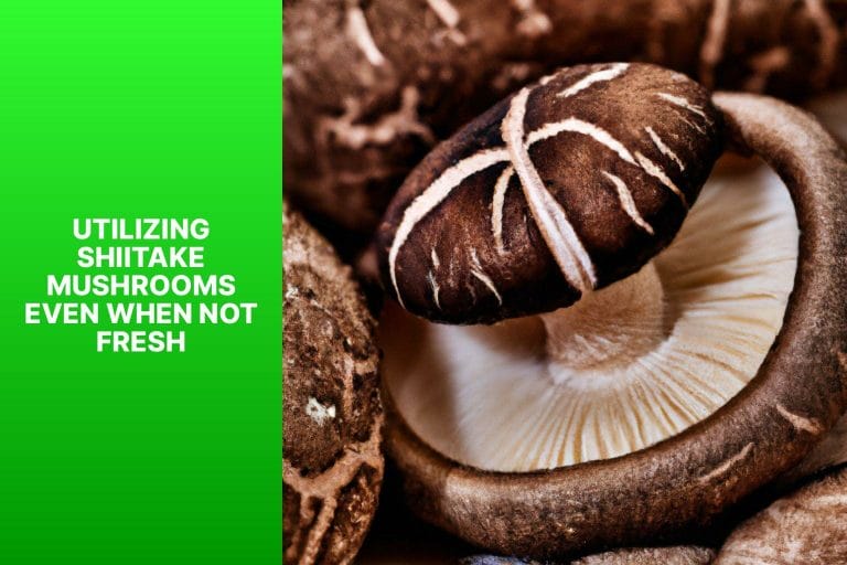 Utilizing Shiitake Mushrooms Even When Not Fresh - How Long Does Shiitake Mushroom Stay Fresh? 