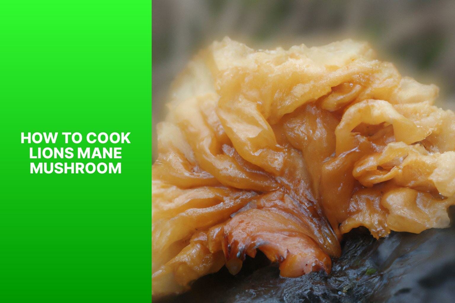 How To Cook Lion's Mane Mushroom?