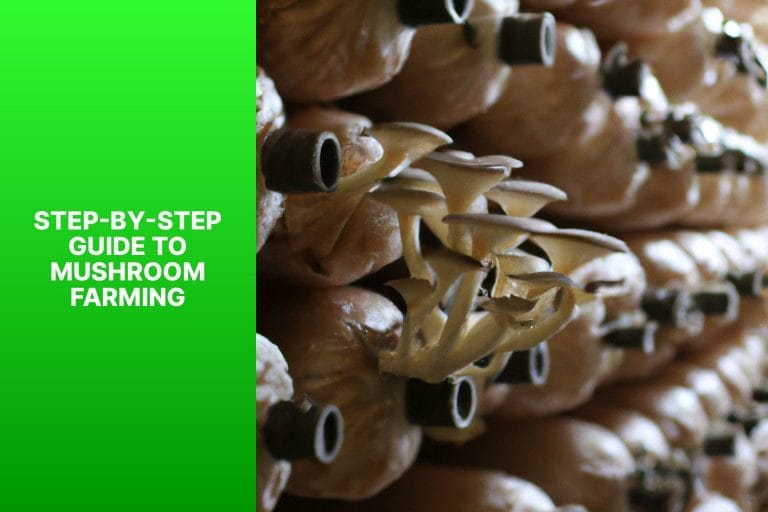 Step-by-Step Guide to Mushroom Farming - mushroom farming 