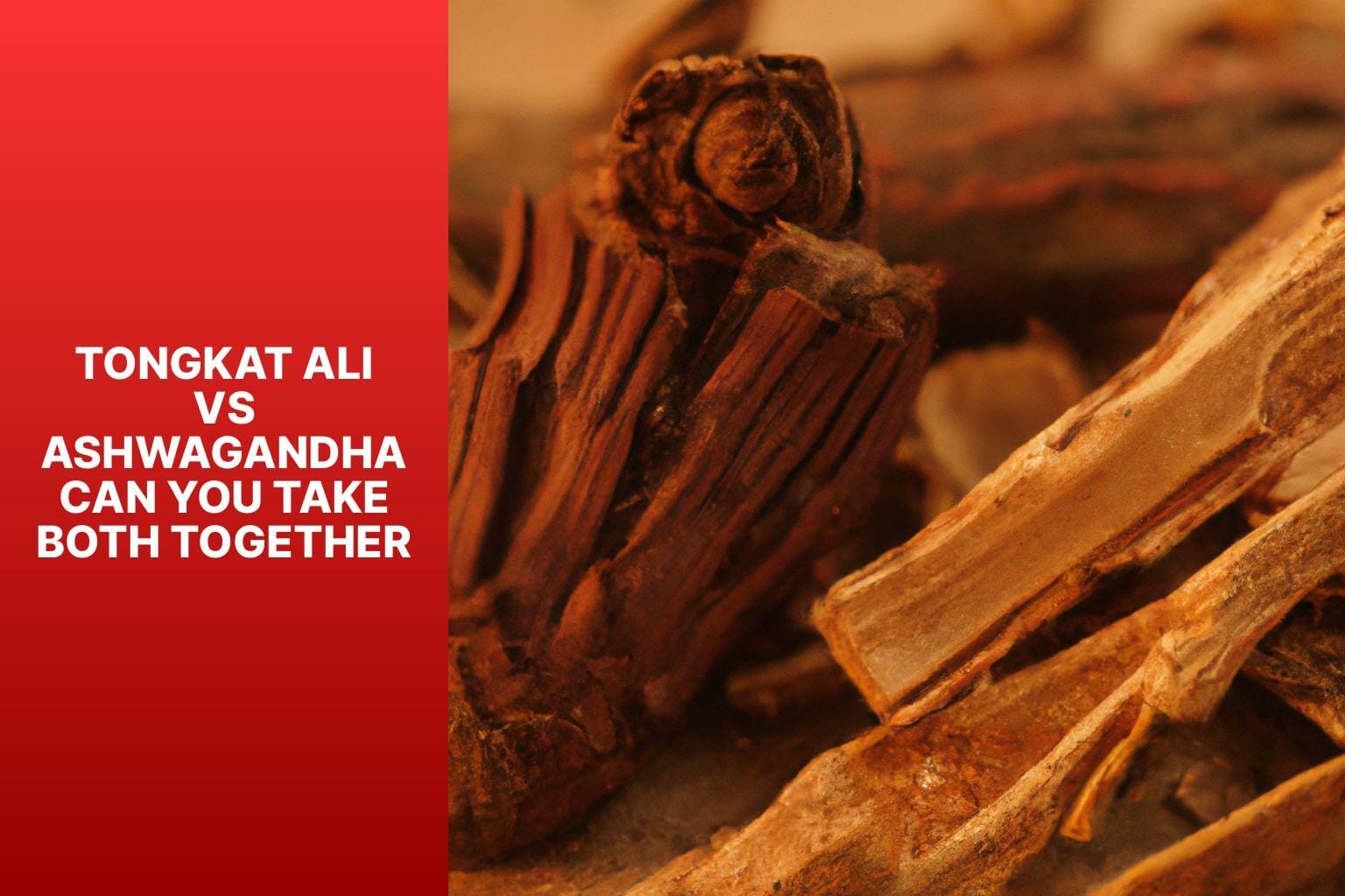 Can You Take Holy Basil And Ashwagandha Together Tongkat Ali Vs Ashwagandha | Can You Take Both Together?