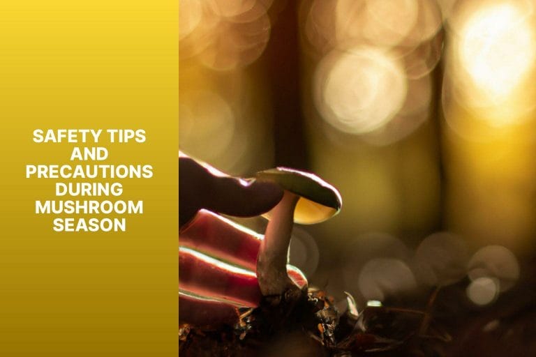Safety Tips and Precautions During Mushroom Season - when is mushroom season 